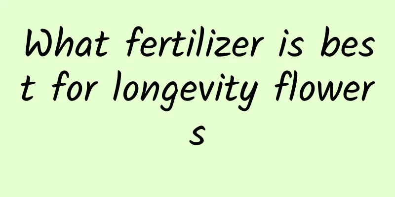 What fertilizer is best for longevity flowers