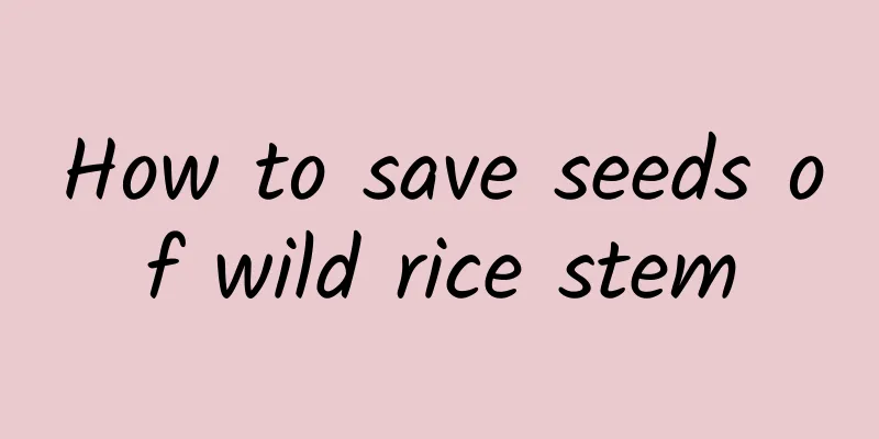 How to save seeds of wild rice stem