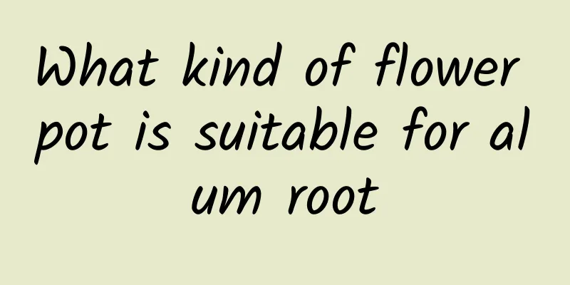 What kind of flower pot is suitable for alum root