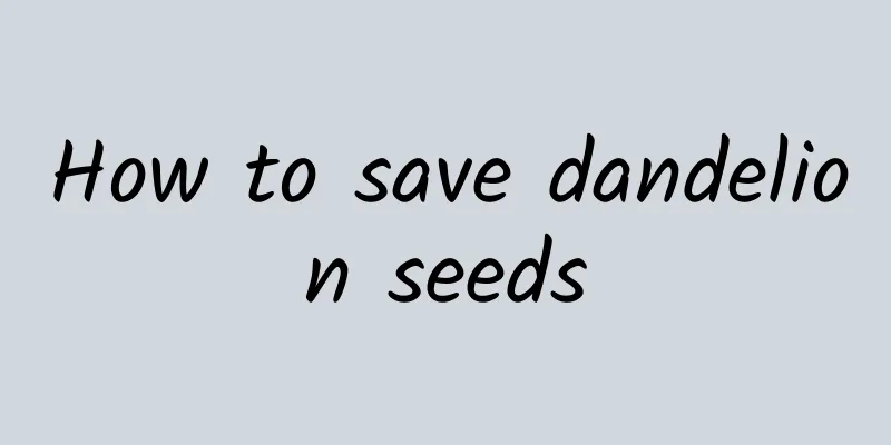 How to save dandelion seeds