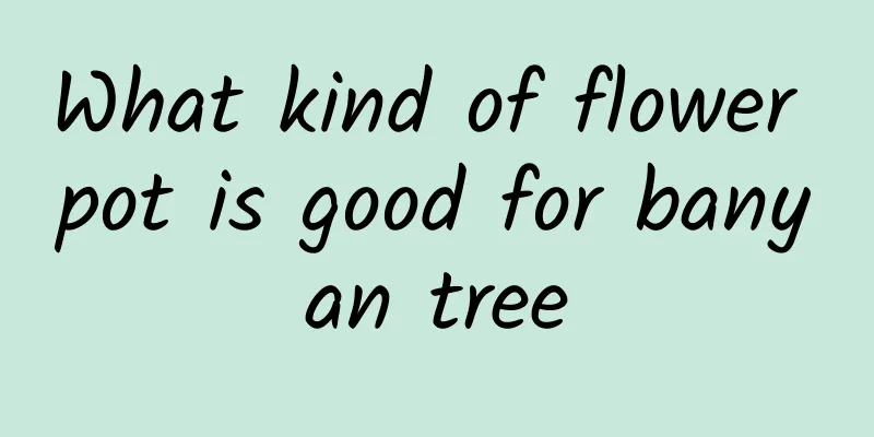 What kind of flower pot is good for banyan tree