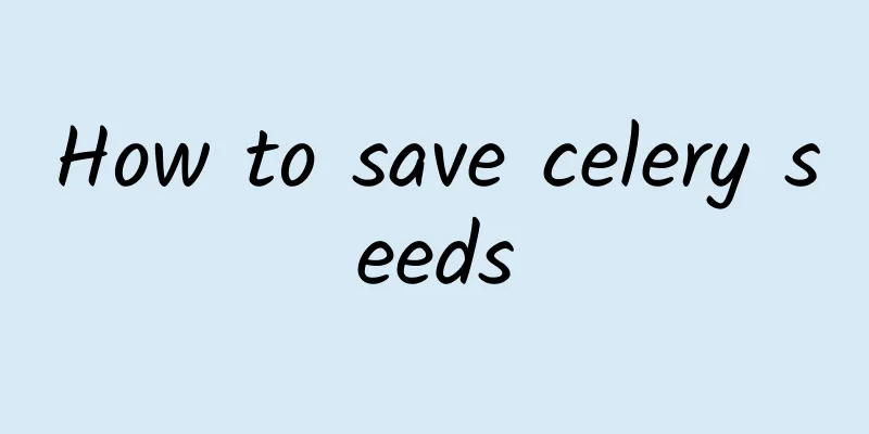 How to save celery seeds