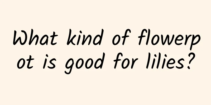 What kind of flowerpot is good for lilies?