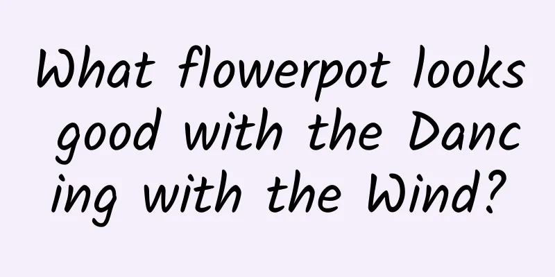 What flowerpot looks good with the Dancing with the Wind?