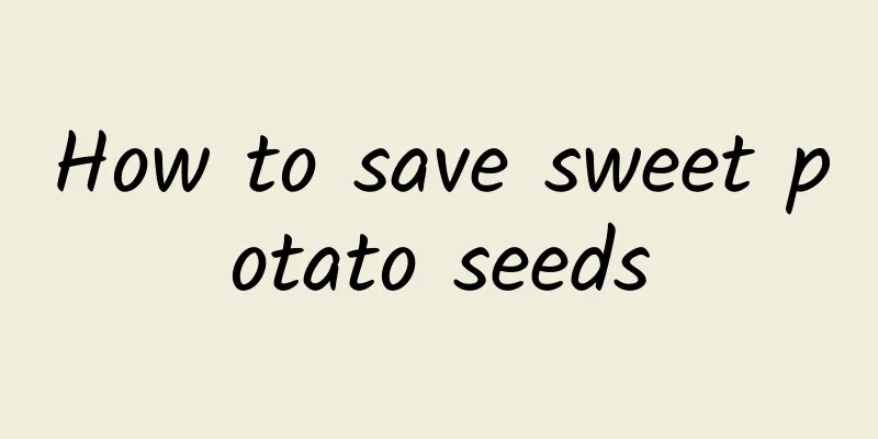 How to save sweet potato seeds