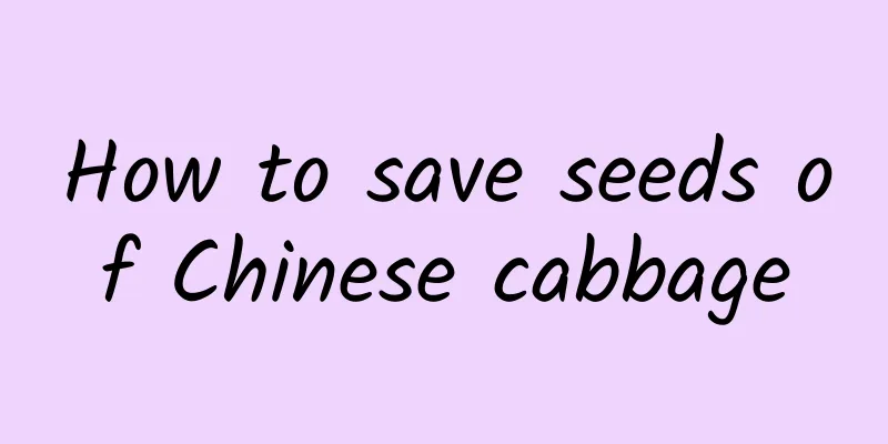 How to save seeds of Chinese cabbage