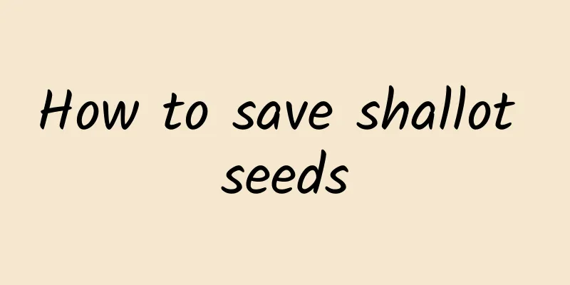 How to save shallot seeds