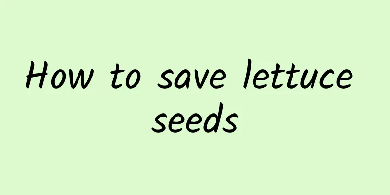 How to save lettuce seeds