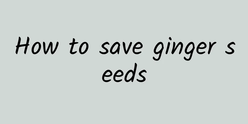 How to save ginger seeds