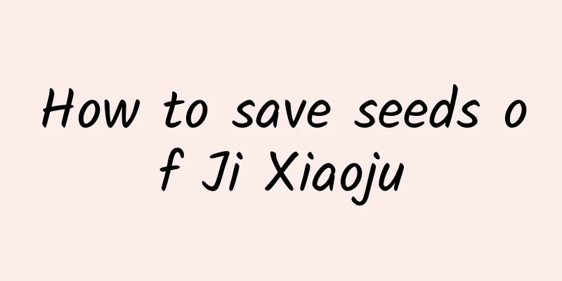 How to save seeds of Ji Xiaoju