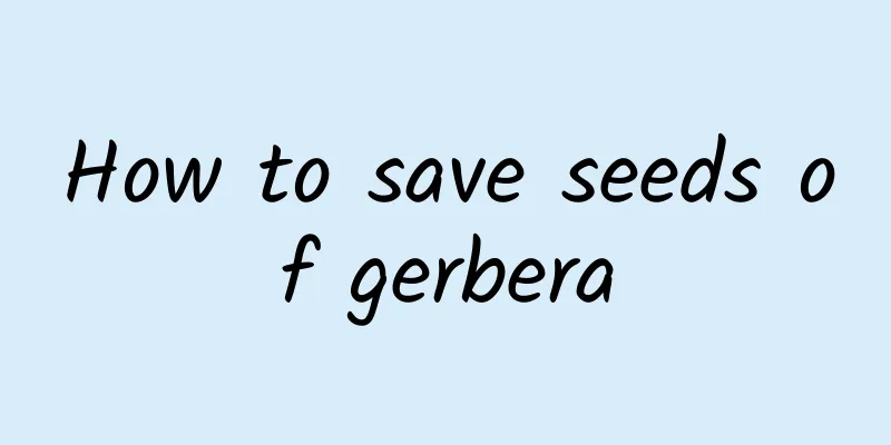 How to save seeds of gerbera