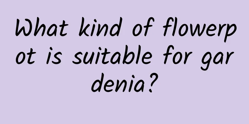 What kind of flowerpot is suitable for gardenia?