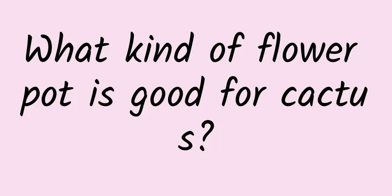 What kind of flower pot is good for cactus?