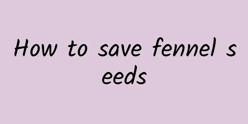 How to save fennel seeds