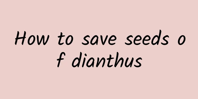 How to save seeds of dianthus