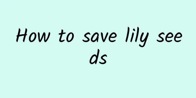 How to save lily seeds