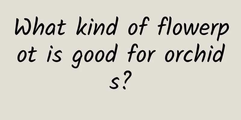 What kind of flowerpot is good for orchids?