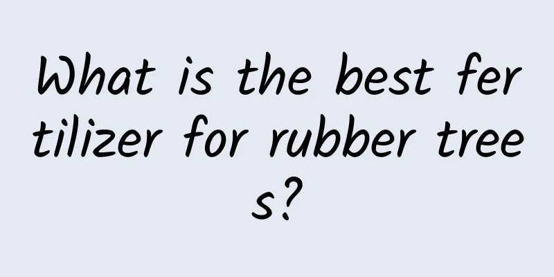 What is the best fertilizer for rubber trees?