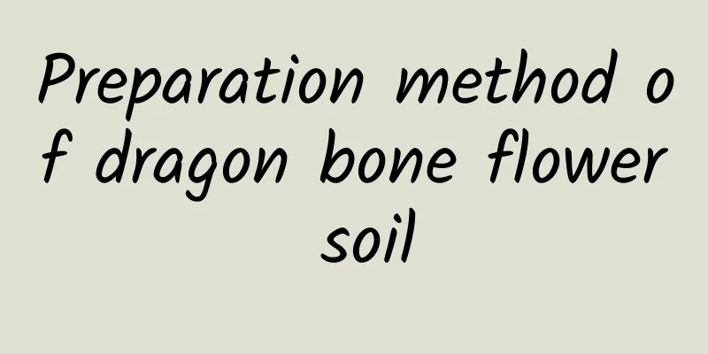 Preparation method of dragon bone flower soil