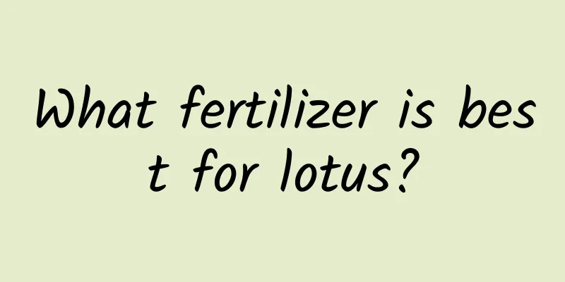 What fertilizer is best for lotus?