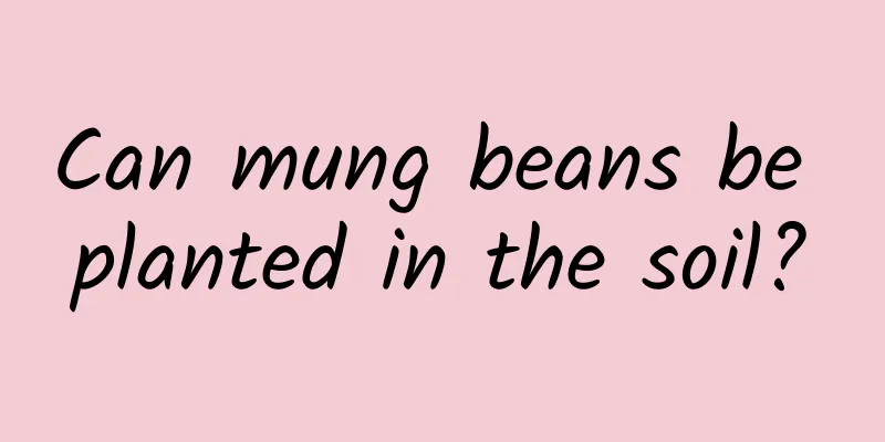 Can mung beans be planted in the soil?