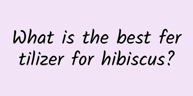 What is the best fertilizer for hibiscus?