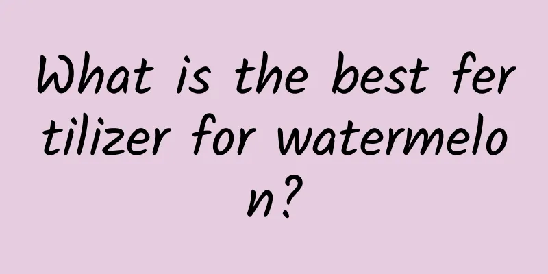 What is the best fertilizer for watermelon?