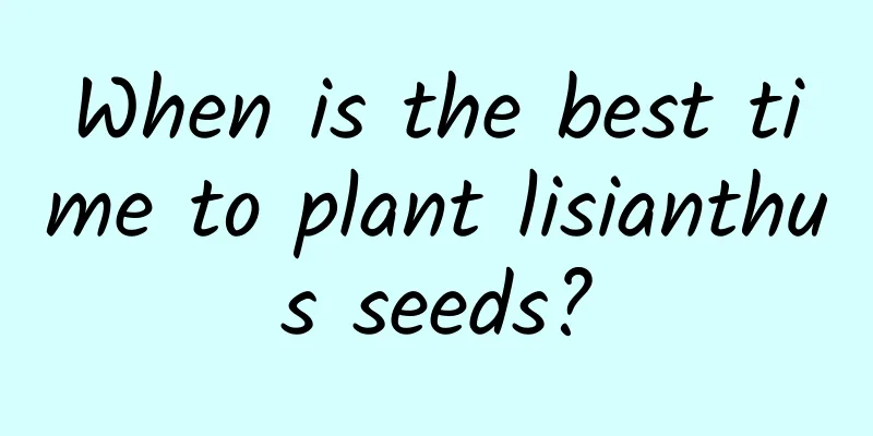 When is the best time to plant lisianthus seeds?