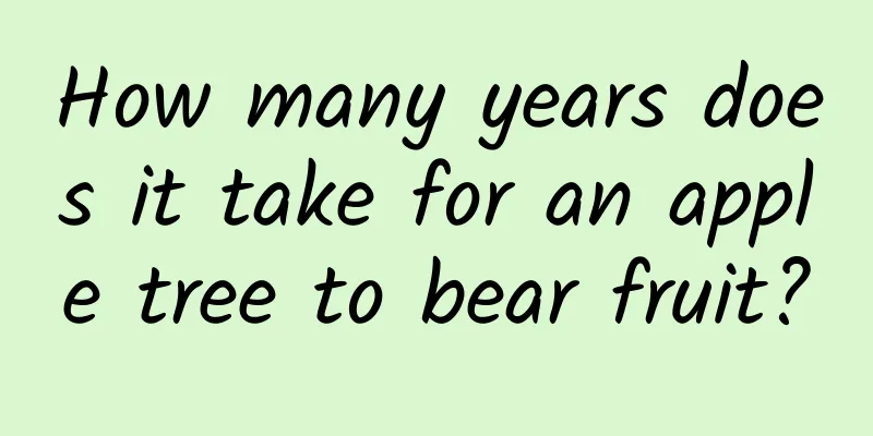 How many years does it take for an apple tree to bear fruit?