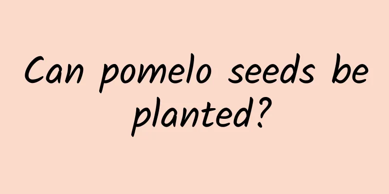 Can pomelo seeds be planted?