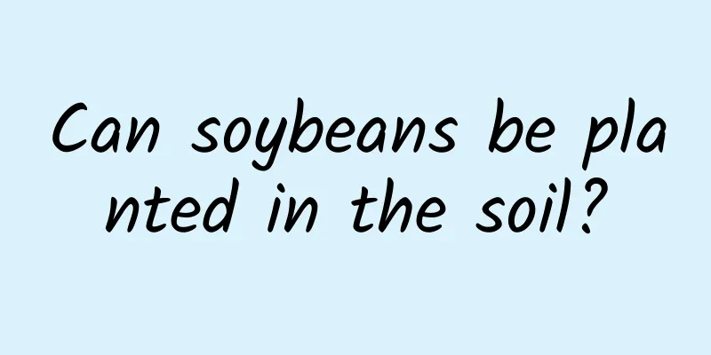 Can soybeans be planted in the soil?