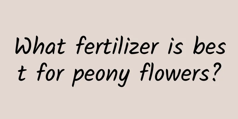 What fertilizer is best for peony flowers?