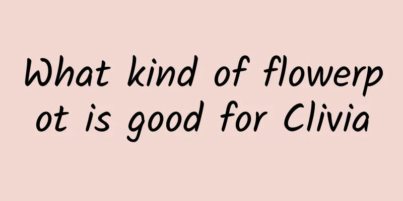 What kind of flowerpot is good for Clivia