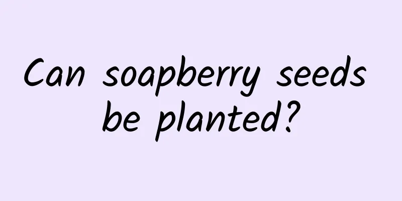 Can soapberry seeds be planted?