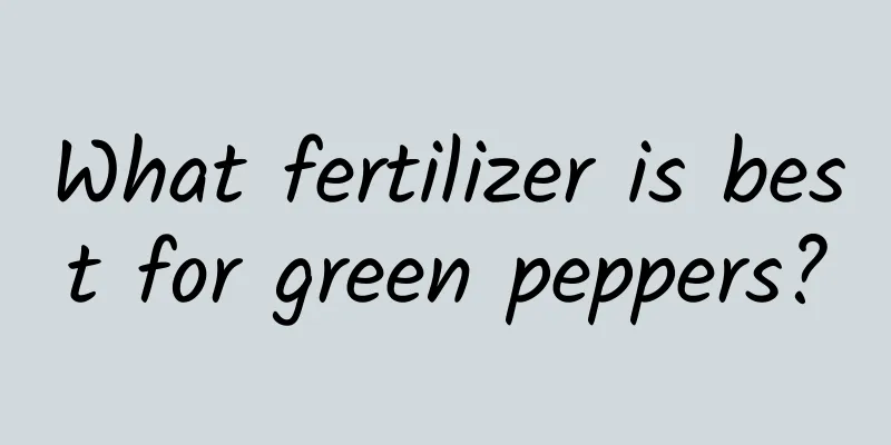 What fertilizer is best for green peppers?