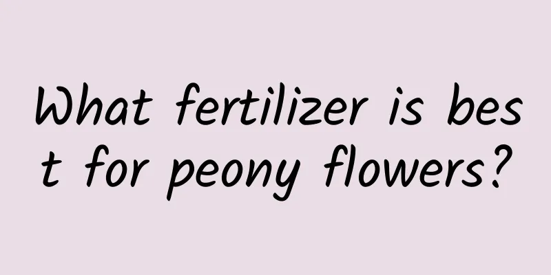 What fertilizer is best for peony flowers?