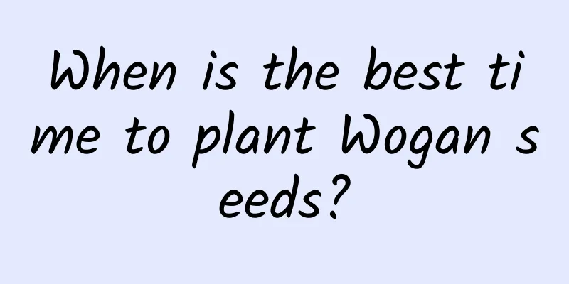 When is the best time to plant Wogan seeds?