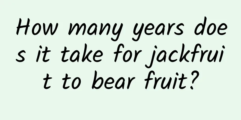 How many years does it take for jackfruit to bear fruit?