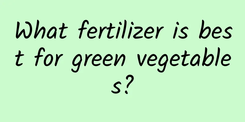 What fertilizer is best for green vegetables?