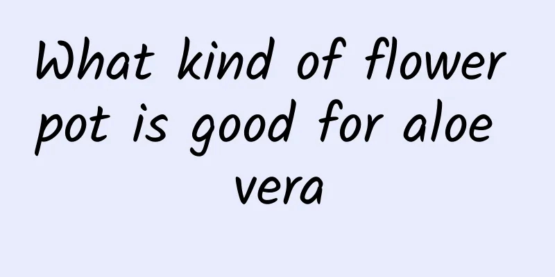 What kind of flower pot is good for aloe vera
