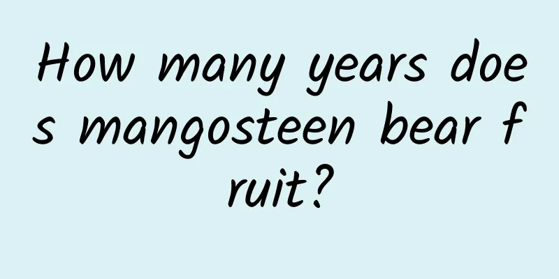 How many years does mangosteen bear fruit?