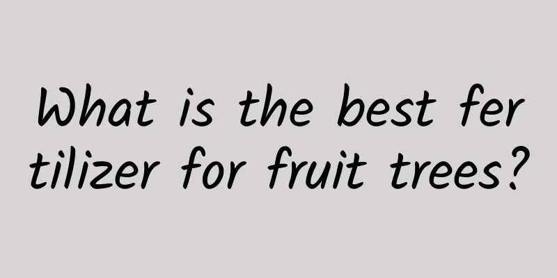 What is the best fertilizer for fruit trees?