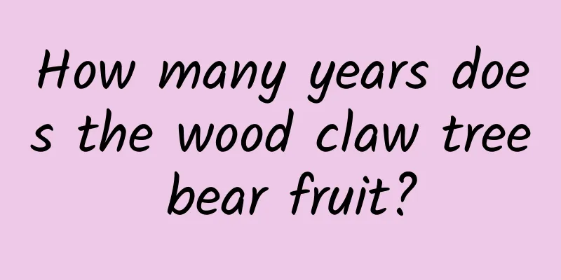 How many years does the wood claw tree bear fruit?