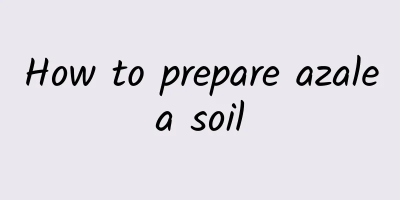How to prepare azalea soil