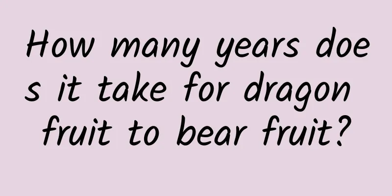 How many years does it take for dragon fruit to bear fruit?
