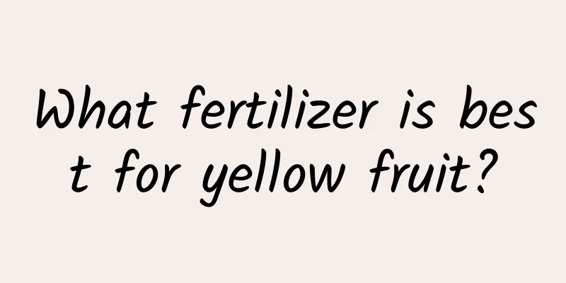 What fertilizer is best for yellow fruit?