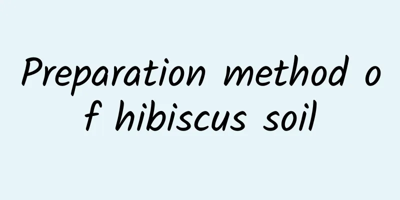 Preparation method of hibiscus soil