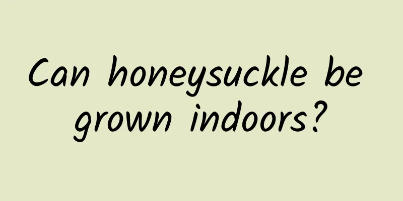 Can honeysuckle be grown indoors?