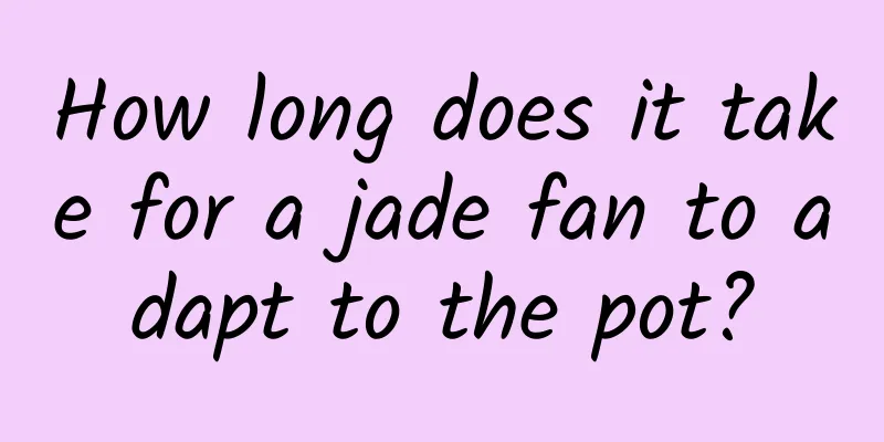 How long does it take for a jade fan to adapt to the pot?