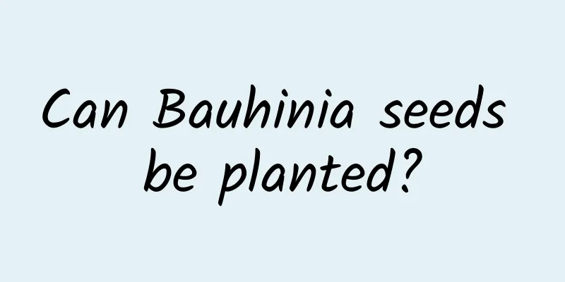 Can Bauhinia seeds be planted?
